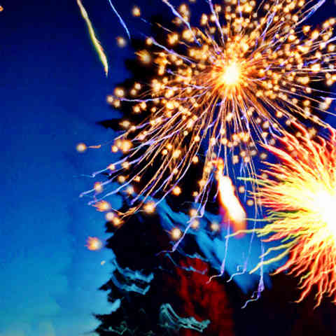 fireworks in the woods