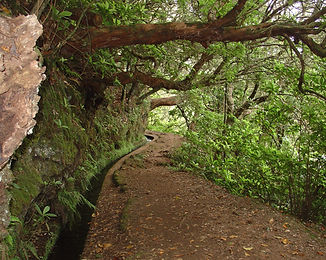 Ribeiro Frio Walk