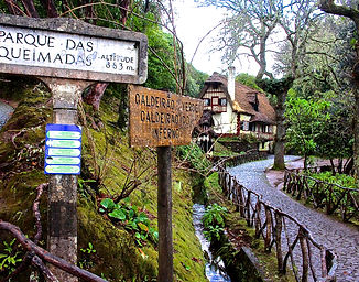 Caldeirao verde Walk Transport