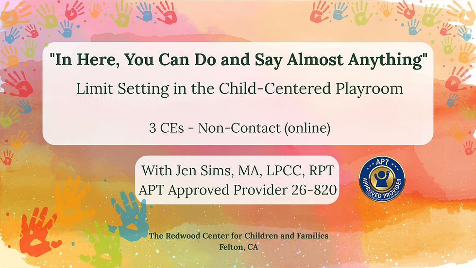 Clinician Session - "In Here, You Can Do and Say Almost Anything" - Limit Setting in the Child-Centered Playroom