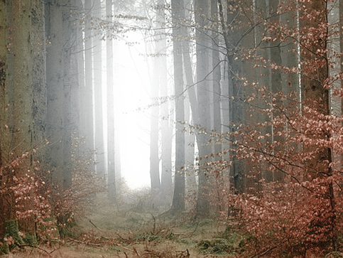 Common Questions Answered: How Does QHHT® Healing Work? (Short Version)