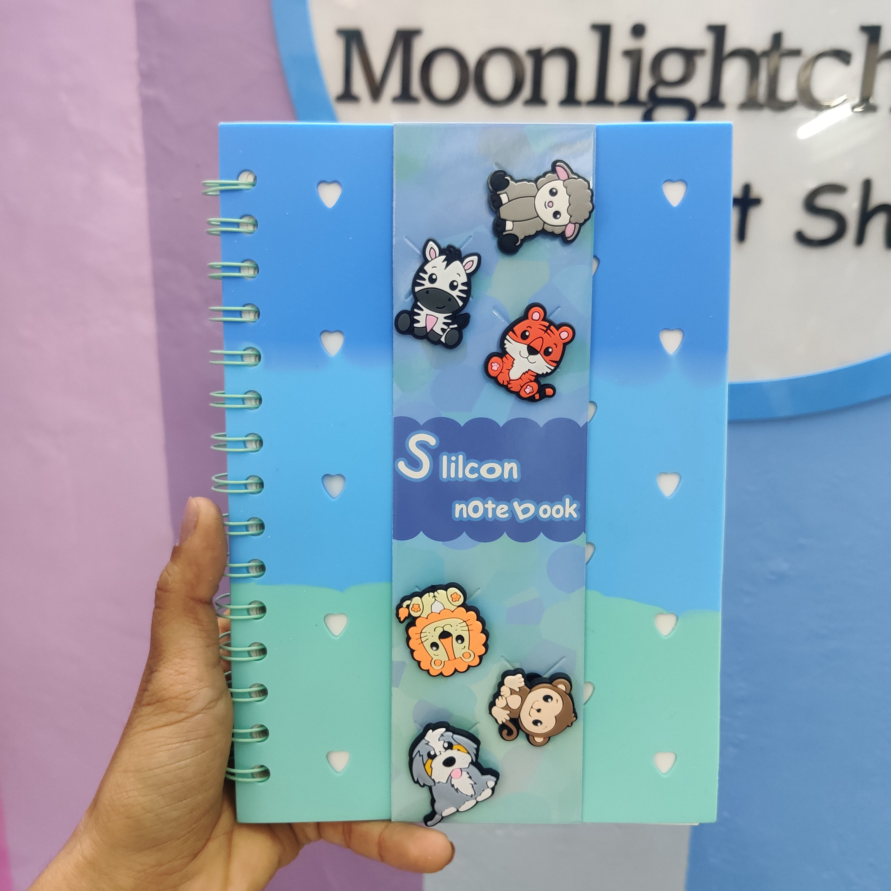 Crocs Style Kawaii Diary