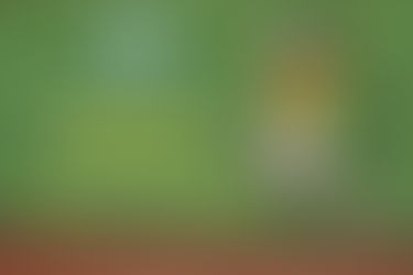 Tennis – auch was für dich?