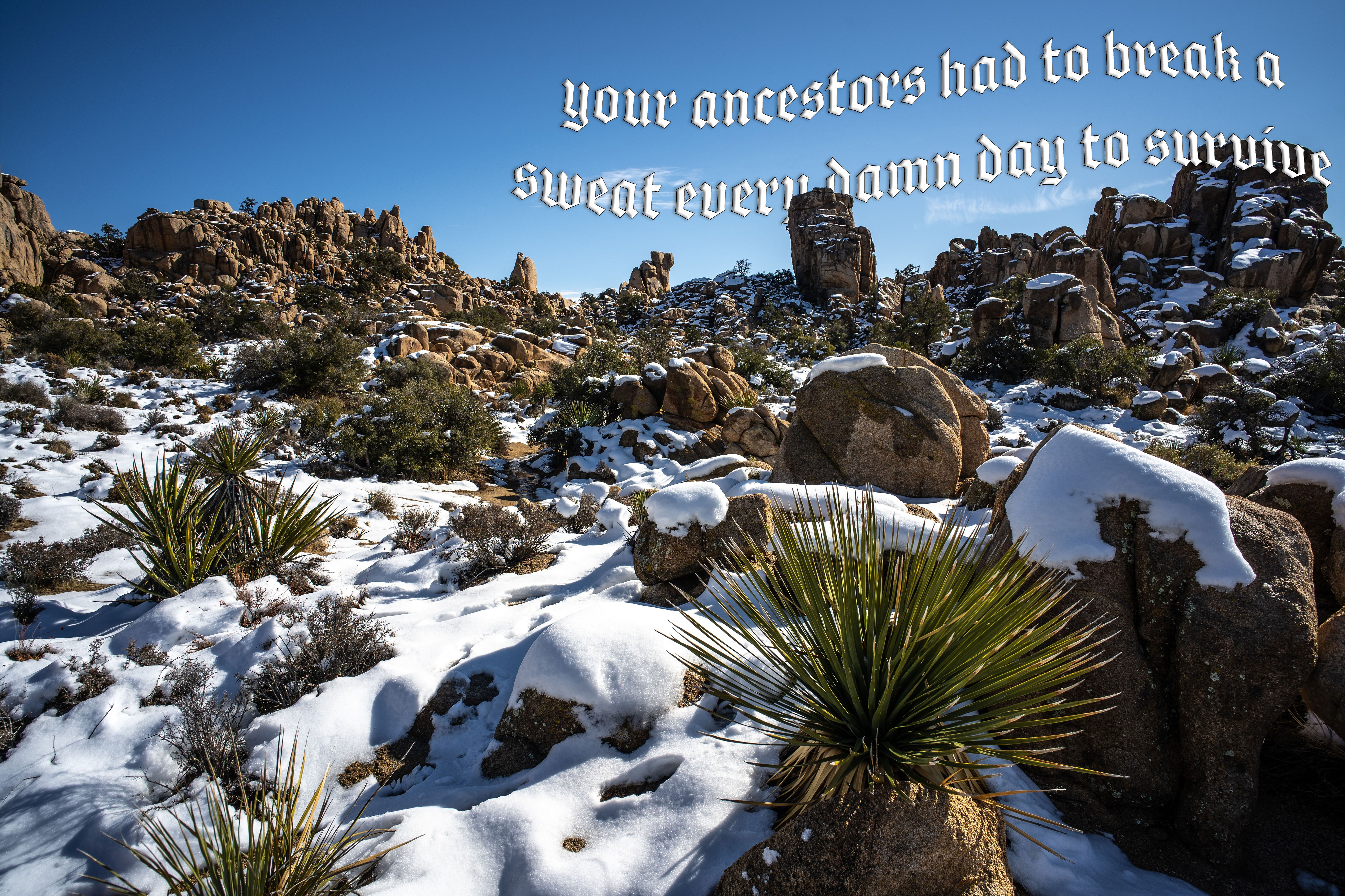 ancestors had to sweat everyday