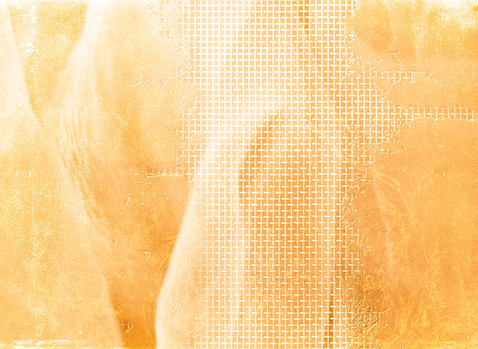 BASEFOND3_edited.jpg