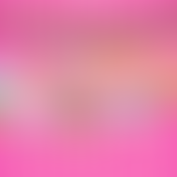 A Year of SEL- A Clear, Calm Plan for the Class You Actually Have