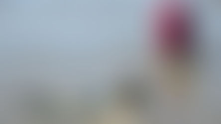 Surveillance sanitaire de la pêche à pied récréative