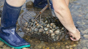 La pêche est bonne ?