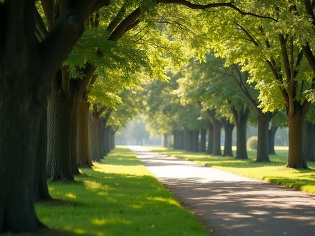 The Enigmatic Allure of Sundays: Exploring the Day of Rest and Reflection