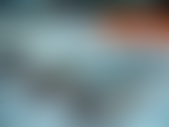 Unveiling the Health Benefits of Anchovies