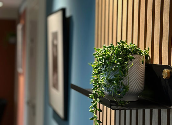 Talenz-Couloir 3 - Copie.jpg