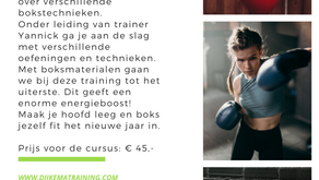 De Boks Cursus gaat bijna van start!