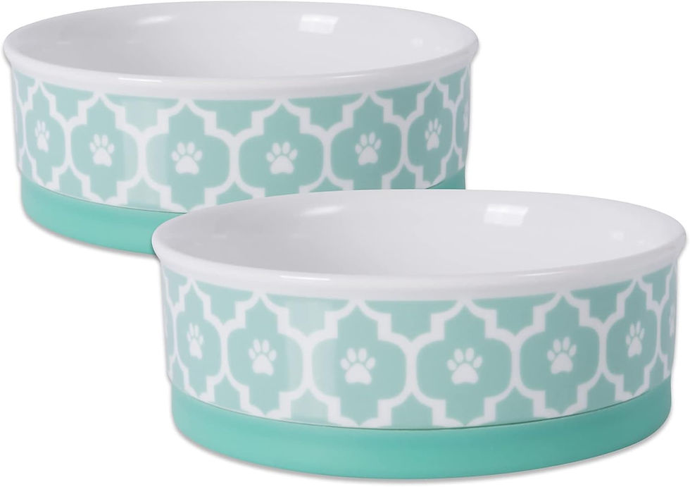 Wholesale Bone Dry Aqua Ceramic Pet Bowl and Canister Set for Cats, Medium Size, 2 Count