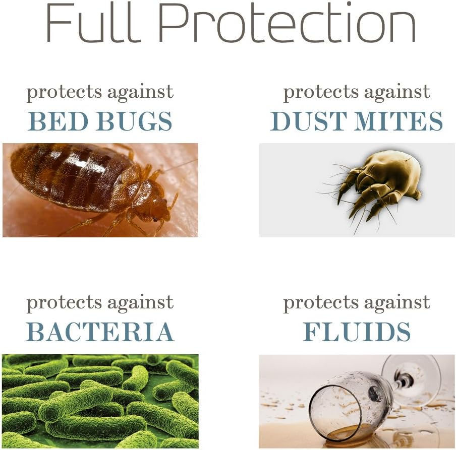 SafeRest Premium 9" Twin XL Box Spring Encasement – Waterproof, Breathable, Noiseless, Vinyl-Free, Durable Polyester