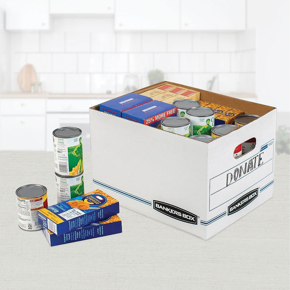 Bankers Box STOR/FILE 12 Pack Basic Duty File Storage Boxes Letter Legal White Blue Wholesale Case