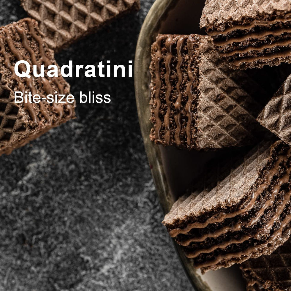 Loacker Quadratini Premium Double Choc Wafer Cookies 8.82oz – Wholesale Chocolate Cookies for Resellers