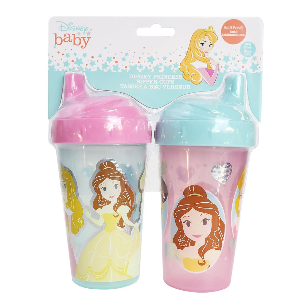Wholesale Princess Toddler Sippy Cups with Straw and Leak Proof Lid – 10 oz BPA-Free Travel Water Bottle Pack of 2 – Case of