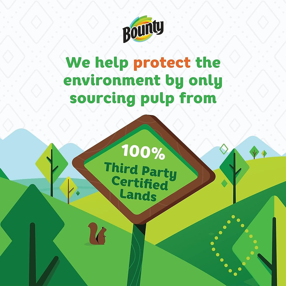 Thumbnail: “Bounty Select-A-Size paper towels 2-ply, 110 sheets per roll – wholesale bulk kitchen and cleaning rolls”