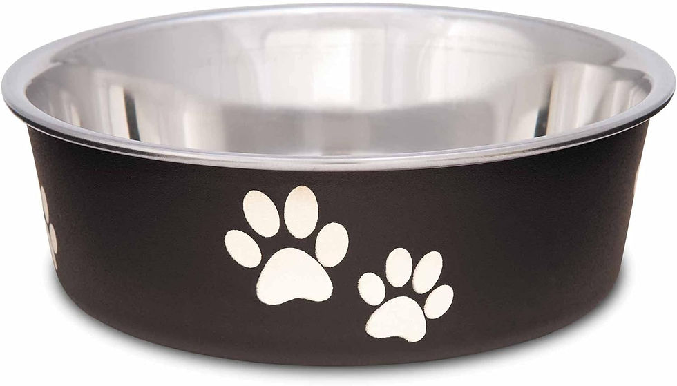 Loving Pets Bella Stainless Steel Small Dog & Cat Bowl, Espresso, Spill-Proof