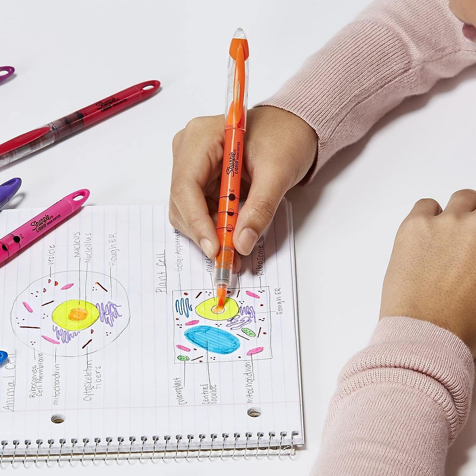 Sharpie Liquid Highlighters Wholesale Pack of 5, Chisel Tip, Fluorescent Assorted Colors