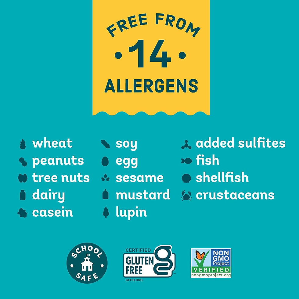 Enjoy Life White Chocolate Mini Chips 9 oz Bag – Dairy-Free, Vegan Baking Chips Wholesale for Retailers & Distributors