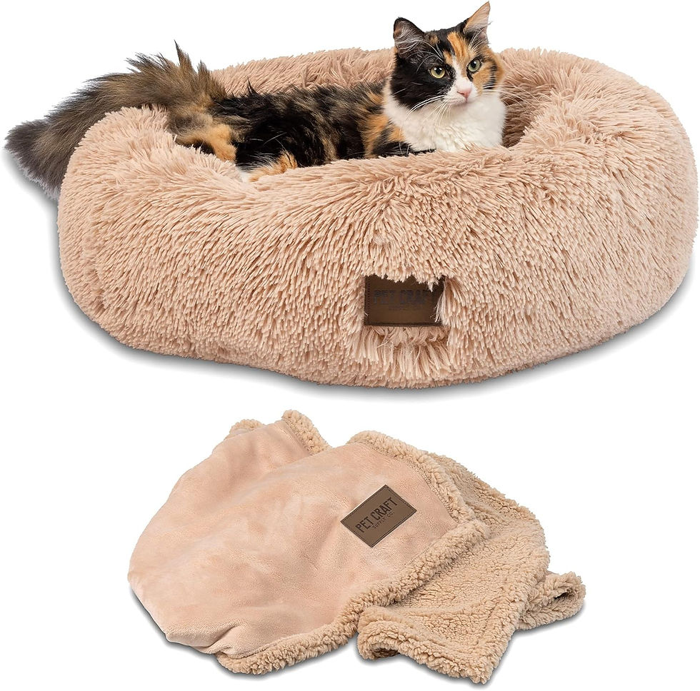 Pet Craft Supply Ultra Plush Calming Pet Bed with Soft Blanket, Cream – Orthopedic Memory Foam Bed for Small Dogs & Cats – Wh