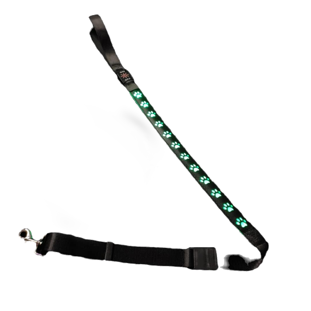 Light Up Dog Lead