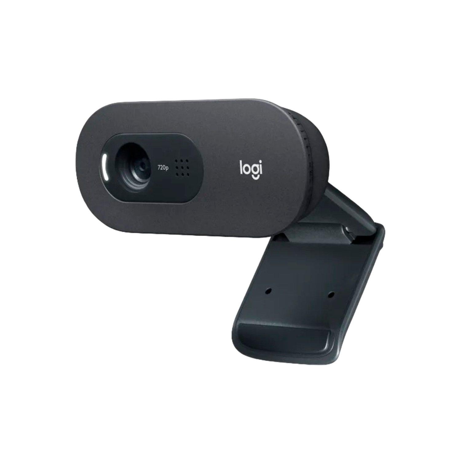 Camara web Logitech C505E con microfono