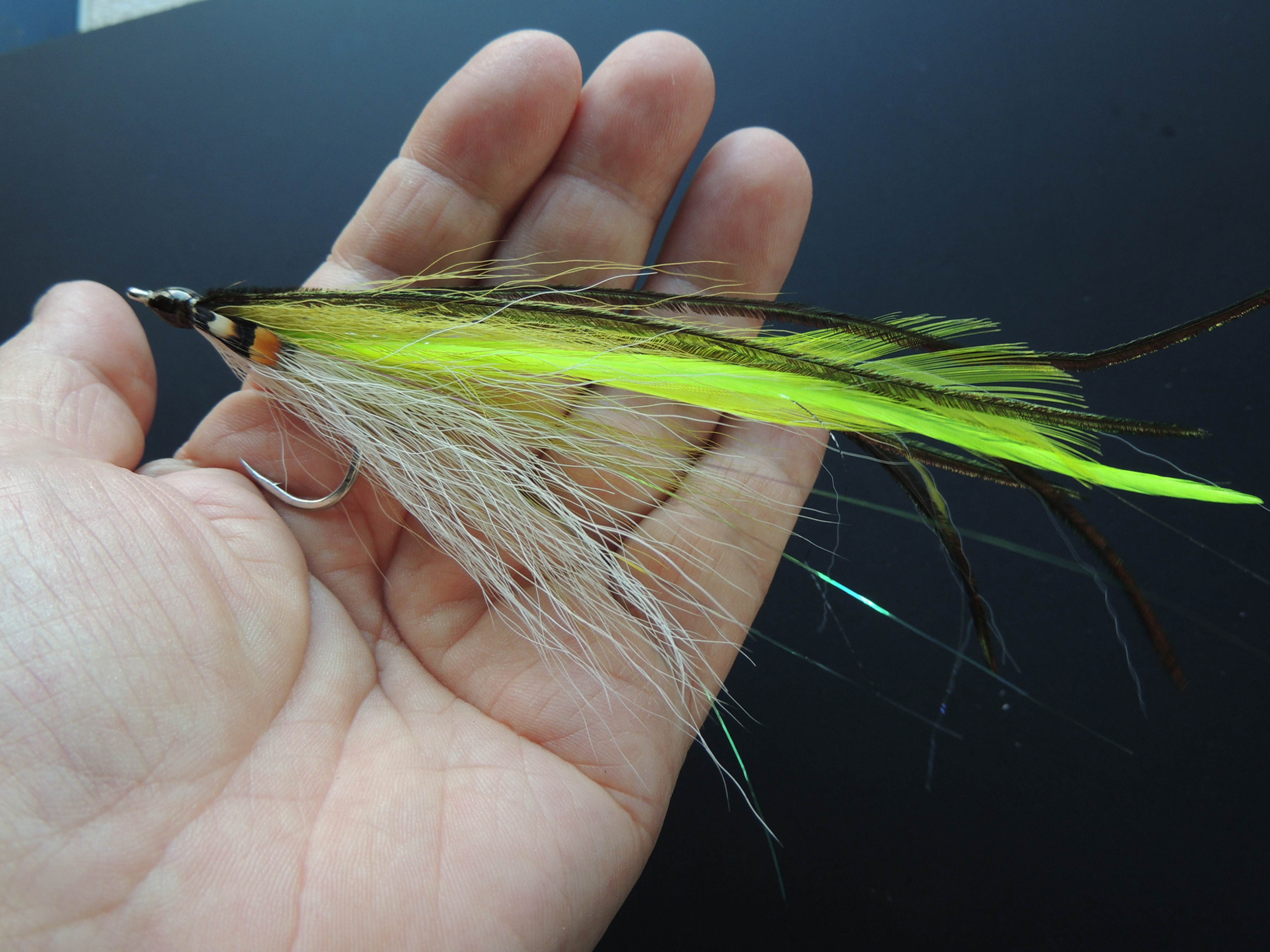 H024 Multifeather Flatwing Oama Color GT Papio