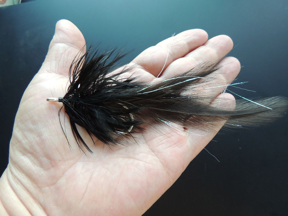 H029 Semper Fleye GT Papio