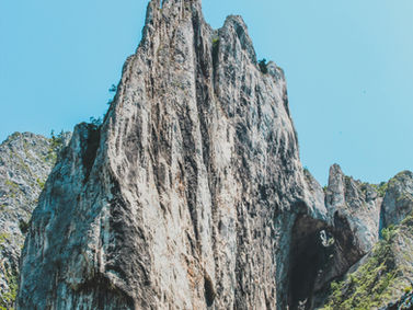 How to Manifest your Dreams
