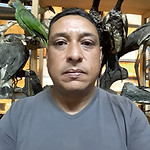 Antenor Silva Junior - Mastozoológica e Ornitológica