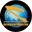 Writer: Karanganyar News