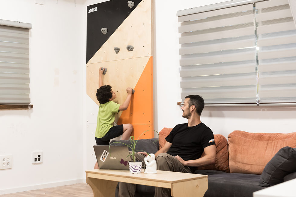 תמונה ממוזערת: קיר טיפוס ביתי להרכבה עצמית כולל 25 אחיזות טיפוס וברגים - Home climbing wall