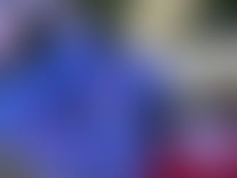 Bayley & Sage - A Slice Of Floristry Heaven