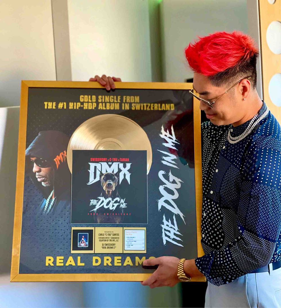 c-tru-dmx-dog-in-me-gold-record-ctru.jpg