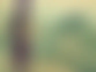 Tax Loss Harvesting for the Busy Professional: How Automation Frees You to Focus on What Matters