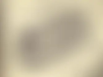 Emotional Investing vs. Data-Driven Strategies: How AI Keeps You Rational