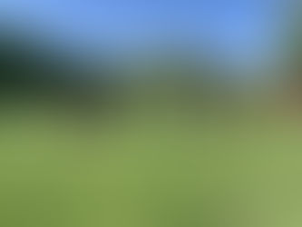 Frühjahrsprüfung 2019 mit Richter Kurt Lang