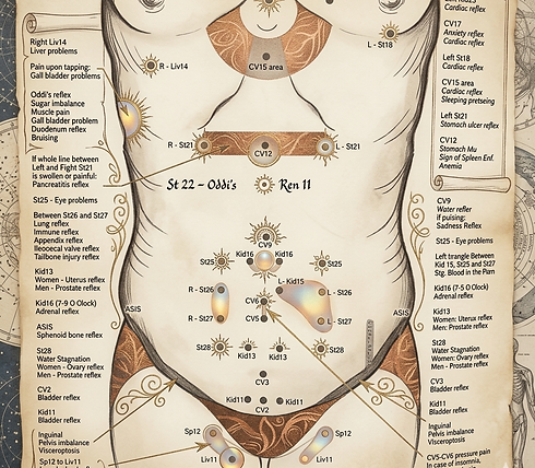 Abdominal Diag - Stylized.png
