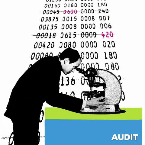 audit