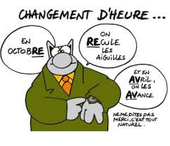 "Le chat" (P. Gelluck)