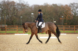 trot4