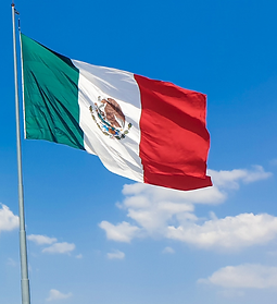 Untitled design (46).png