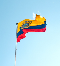 Untitled design (65).png