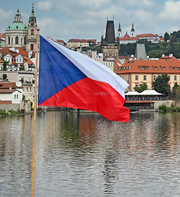 Untitled design (63).png