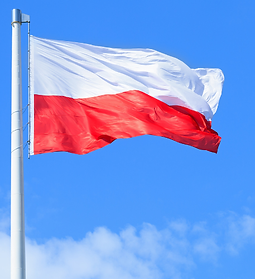 Untitled design (47).png