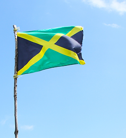 Untitled design (28).png