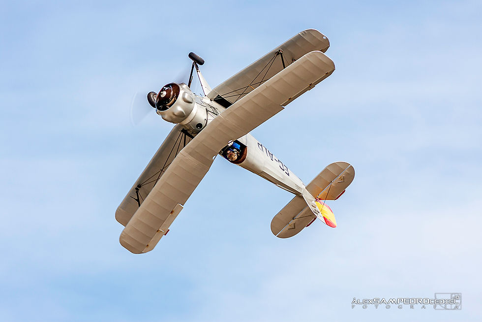 Bucker 133 Jungmeister fw