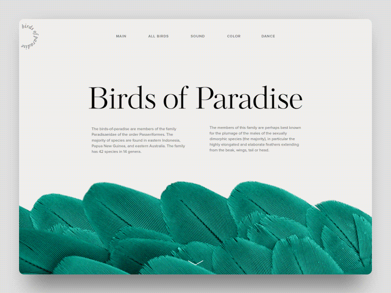 tubik-studio-web-ui-design.gif